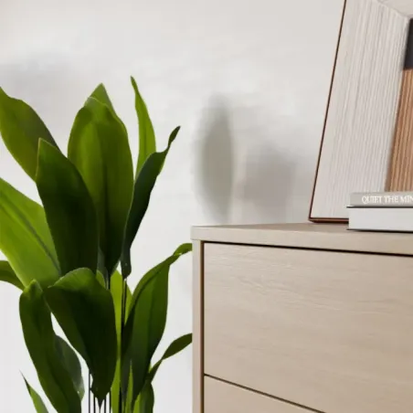 Alice Springs Shoe Cabinet with 3-Door – Elegancia Oak