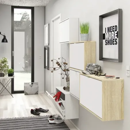 Shoes Shoe Cabinet 2 Flip-Down Doors and 1 Layer – White