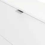 Shoes Shoe Cabinet 2 Flip-Down Doors and 1 Layer – White