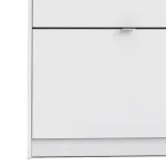 Shoes Shoe Cabinet 2 Flip-Down Doors and 1 Layer – White